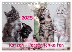 Katzen Persönlichkeiten 2025 (Tischkalender 2025 DIN A5 quer), CALVENDO Monatskalender - Calvendo;Rüberg, Patrick