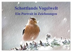 Schottlands Vogelwelt - Ein Porträt in Zeichnungen (Wandkalender 2025 DIN A2 quer), CALVENDO Monatskalender
