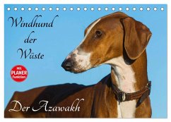 Windhund der Wüste - Der Azawakh (Tischkalender 2025 DIN A5 quer), CALVENDO Monatskalender