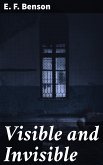 Visible and Invisible (eBook, ePUB)