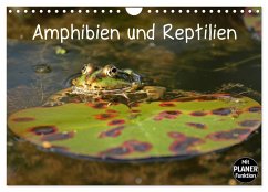 Amphibien und Reptilien (Wandkalender 2025 DIN A4 quer), CALVENDO Monatskalender