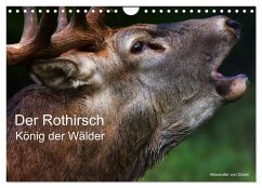 Der Rothirsch, König der Wälder (Wandkalender 2025 DIN A4 quer), CALVENDO Monatskalender