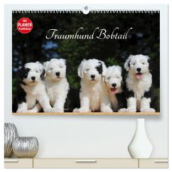 Traumhund Bobtail (hochwertiger Premium Wandkalender 2025 DIN A2 quer), Kunstdruck in Hochglanz