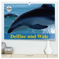 Delfine und Wale (hochwertiger Premium Wandkalender 2025 DIN A2 quer), Kunstdruck in Hochglanz - Calvendo;Stanzer, Elisabeth