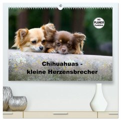 Chihuahuas - kleine Herzensbrecher (hochwertiger Premium Wandkalender 2025 DIN A2 quer), Kunstdruck in Hochglanz - Calvendo;Scholze, Verena