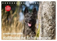 ausdrucksvolle Holländische Schäferhunde (Tischkalender 2025 DIN A5 quer), CALVENDO Monatskalender - Calvendo;Verena Scholze, Fotodesign