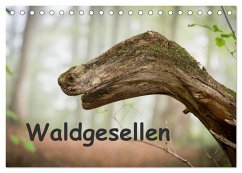 Waldgesellen - entdecke die Vielfalt (Tischkalender 2025 DIN A5 quer), CALVENDO Monatskalender