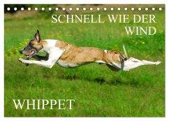 Schnell wie der Wind - Whippet (Tischkalender 2025 DIN A5 quer), CALVENDO Monatskalender - Calvendo;Starick, Sigrid