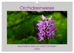 Orchideenwiese 2025 (Wandkalender 2025 DIN A3 quer), CALVENDO Monatskalender - Calvendo;Sura, Jana