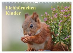 Eichhörnchen Kinder (Wandkalender 2025 DIN A3 quer), CALVENDO Monatskalender