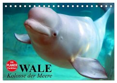 Wale. Kolosse der Meere (Tischkalender 2025 DIN A5 quer), CALVENDO Monatskalender