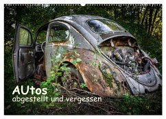 Autos, abgestellt und vergessen (Wandkalender 2025 DIN A2 quer), CALVENDO Monatskalender - Calvendo;rosin, Dirk