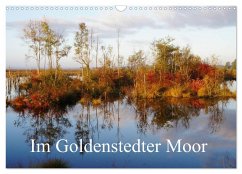 Im Goldenstedter Moor (Wandkalender 2025 DIN A3 quer), CALVENDO Monatskalender