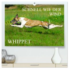 Schnell wie der Wind - Whippet (hochwertiger Premium Wandkalender 2025 DIN A2 quer), Kunstdruck in Hochglanz