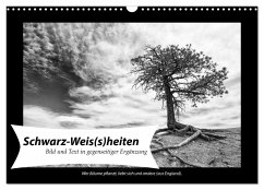Schwarz-Weis(s)heiten (Wandkalender 2025 DIN A3 quer), CALVENDO Monatskalender