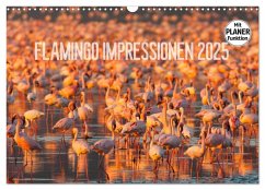 Flamingo Impressionen 2025 (Wandkalender 2025 DIN A3 quer), CALVENDO Monatskalender - Calvendo;Gerlach, Ingo