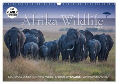 Emotionale Momente: Afrika Wildlife. Part 3. (Wandkalender 2025 DIN A3 quer), CALVENDO Monatskalender - Calvendo;Gerlach GDT, Ingo