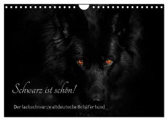 Schwarz ist schön! Der lackschwarze altdeutsche Schäferhund (Wandkalender 2025 DIN A4 quer), CALVENDO Monatskalender