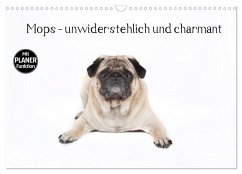 Mops - unwiderstehlich und charmant (Wandkalender 2025 DIN A3 quer), CALVENDO Monatskalender