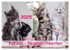 Katzen Persönlichkeiten 2025 (Wandkalender 2025 DIN A2 quer), CALVENDO Monatskalender - Calvendo;Rüberg, Patrick