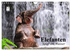 Elefanten. Spaß am Wasser (Wandkalender 2025 DIN A4 quer), CALVENDO Monatskalender