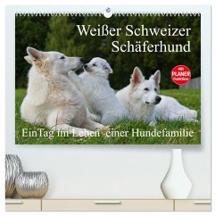 Weißer Schweizer Schäferhund - Ein Tag im Leben einer Hundefamilie (hochwertiger Premium Wandkalender 2025 DIN A2 quer), Kunstdruck in Hochglanz - Calvendo;Starick, Sigrid