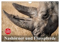 Nashörner und Flusspferde (Wandkalender 2025 DIN A4 quer), CALVENDO Monatskalender