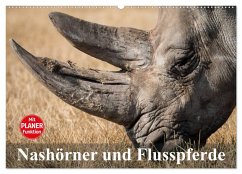 Nashörner und Flusspferde (Wandkalender 2025 DIN A2 quer), CALVENDO Monatskalender