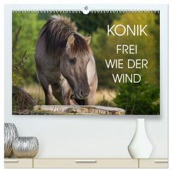 Konik - Frei geboren (hochwertiger Premium Wandkalender 2025 DIN A2 quer), Kunstdruck in Hochglanz - Calvendo;Starick, Sigrid