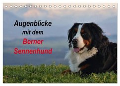 Augenblicke mit dem Berner Sennenhund (Tischkalender 2025 DIN A5 quer), CALVENDO Monatskalender