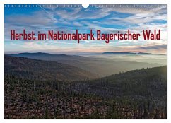 Herbst im Nationalpark Bayerischer Wald (Wandkalender 2025 DIN A3 quer), CALVENDO Monatskalender