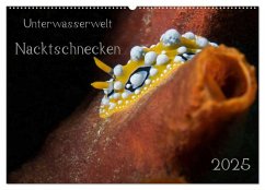 Unterwasserwelt Nacktschnecken (Wandkalender 2025 DIN A2 quer), CALVENDO Monatskalender - Calvendo;Oldani, Dorothea