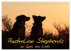 Australian Shepherds im Spiel des Lichts (Tischkalender 2025 DIN A5 quer), CALVENDO Monatskalender
