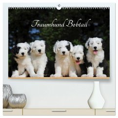 Traumhund Bobtail (hochwertiger Premium Wandkalender 2025 DIN A2 quer), Kunstdruck in Hochglanz - Calvendo;Starick, Sigrid