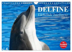 Delfine - Lächelnde Intelligenz (Wandkalender 2025 DIN A4 quer), CALVENDO Monatskalender