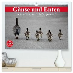 Gänse und Enten. Schnattern, watscheln, quaken! (hochwertiger Premium Wandkalender 2025 DIN A2 quer), Kunstdruck in Hochglanz - Calvendo;Stanzer, Elisabeth