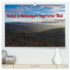 Herbst im Nationalpark Bayerischer Wald (hochwertiger Premium Wandkalender 2025 DIN A2 quer), Kunstdruck in Hochglanz