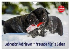 Labrador Retriever - Freunde für´s Leben (Wandkalender 2025 DIN A4 quer), CALVENDO Monatskalender