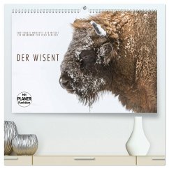 Emotionale Momente: Der Wisent. (hochwertiger Premium Wandkalender 2025 DIN A2 quer), Kunstdruck in Hochglanz - Calvendo;Gerlach, Ingo