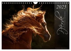 Pferde - Anmut und Stärke gepaart mit Magie (Wandkalender 2025 DIN A4 quer), CALVENDO Monatskalender - Calvendo;Mischnik, Sabrina