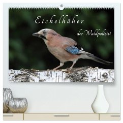 Eichelhäher der Waldpolizist (hochwertiger Premium Wandkalender 2025 DIN A2 quer), Kunstdruck in Hochglanz