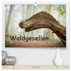 Waldgesellen - entdecke die Vielfalt (hochwertiger Premium Wandkalender 2025 DIN A2 quer), Kunstdruck in Hochglanz - Calvendo;Losekann, Holger