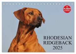 Rhodesian Ridgeback 2025 (Tischkalender 2025 DIN A5 quer), CALVENDO Monatskalender