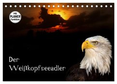 Der Weißkopfseeadler (Tischkalender 2025 DIN A5 quer), CALVENDO Monatskalender - Calvendo;Klatt, Arno