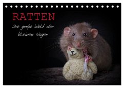 Ratten. Die große Welt der kleinen Nager (Tischkalender 2025 DIN A5 quer), CALVENDO Monatskalender