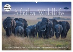 Emotionale Momente: Afrika Wildlife. Part 3. (Wandkalender 2025 DIN A2 quer), CALVENDO Monatskalender