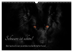 Schwarz ist schön! Der lackschwarze altdeutsche Schäferhund (Wandkalender 2025 DIN A3 quer), CALVENDO Monatskalender - Calvendo;Werz, Rena
