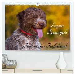 Lagotto Romagnolo - Italienischer Trüffelhund (hochwertiger Premium Wandkalender 2025 DIN A2 quer), Kunstdruck in Hochglanz