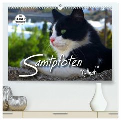 SAMTPFOTEN &quote;fellnah&quote; (hochwertiger Premium Wandkalender 2025 DIN A2 quer), Kunstdruck in Hochglanz