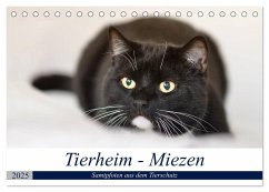 Tierheim - Miezen (Tischkalender 2025 DIN A5 quer), CALVENDO Monatskalender - Calvendo;Metternich, Doris